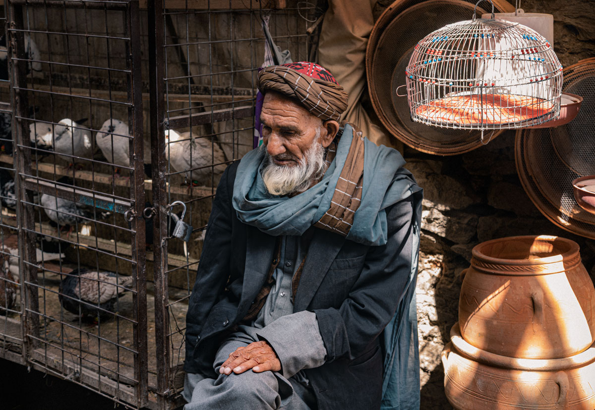 Kabul's birds market